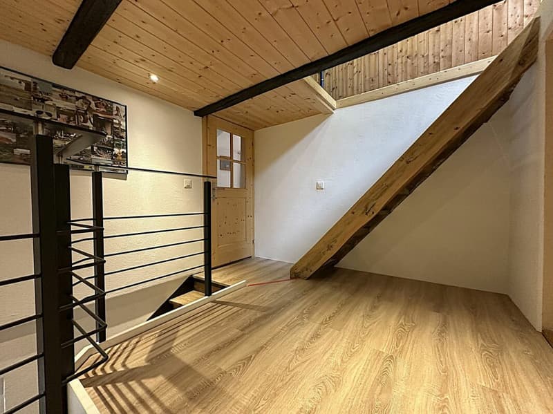 7.5 room single-family house with beautiful garden (8)