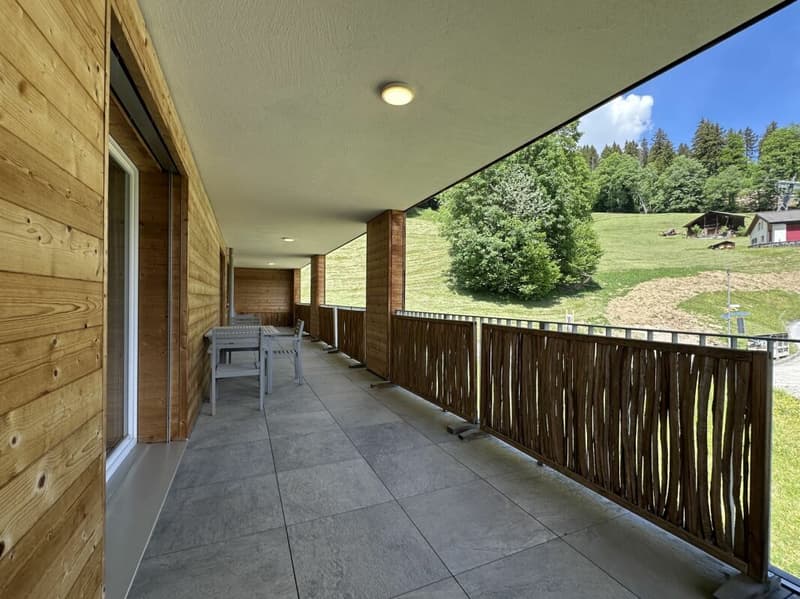 Living in the mountains with a charming panorama (11)