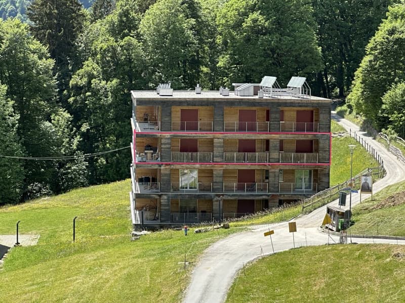 Living in the mountains with a charming panorama (12)