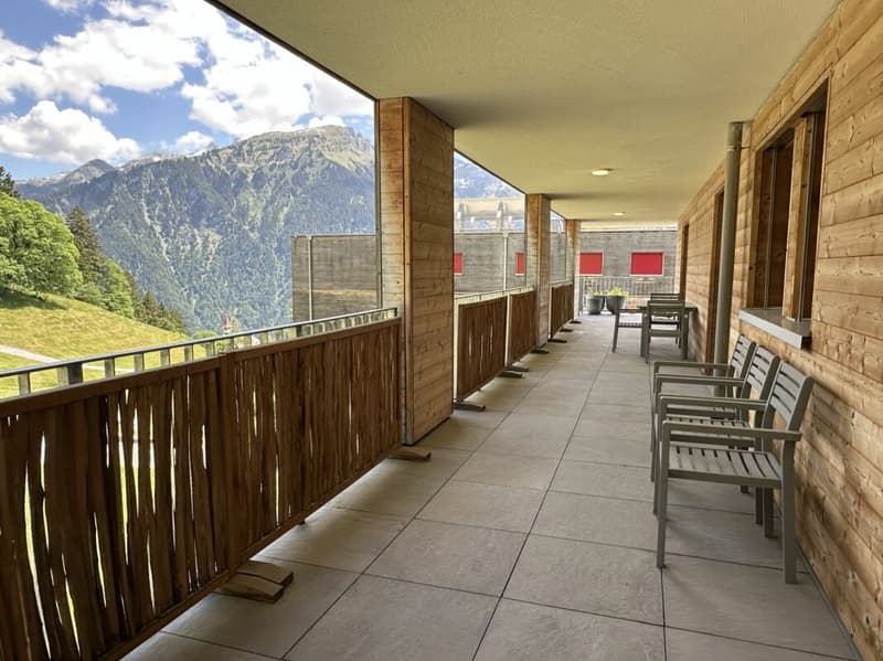 Living in the mountains with a charming panorama (10)