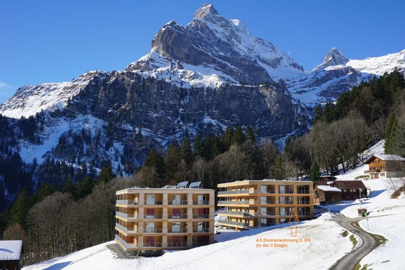 Living in the mountains with a charming panorama (13)