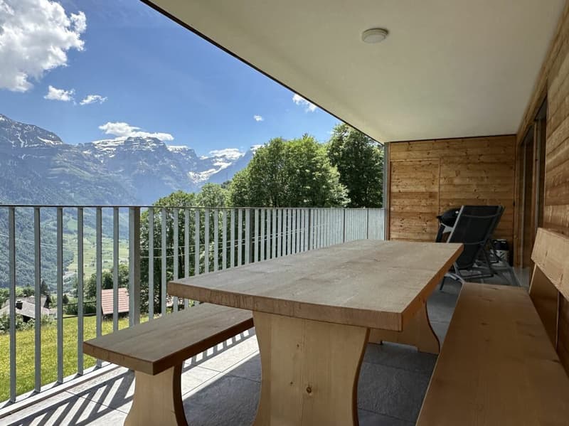 Living in the mountains with a charming panorama (9)