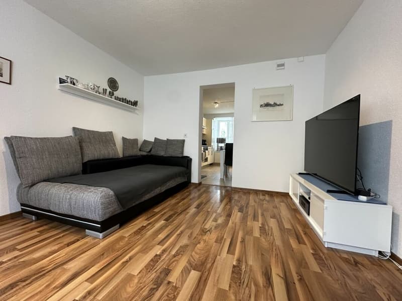 5.5 rooms - Row house with 1.5 room apartment (10)