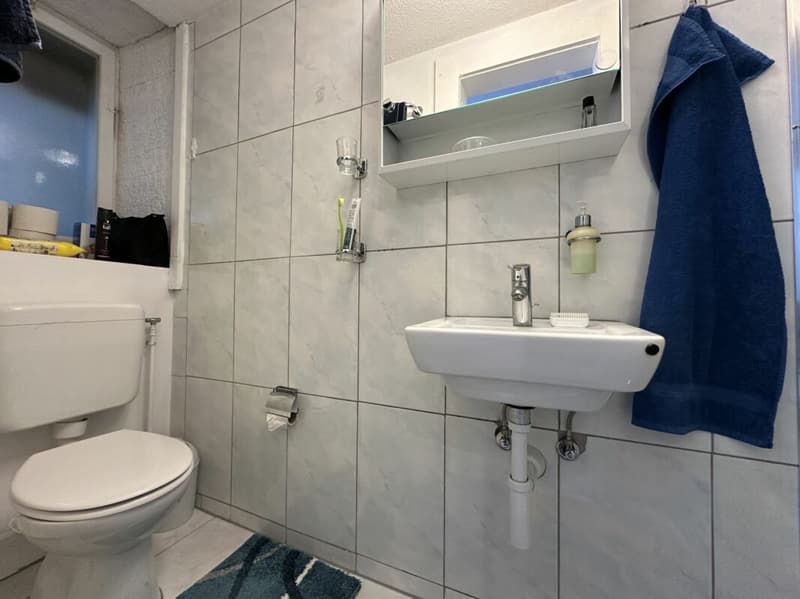 5.5 rooms - Row house with 1.5 room apartment (11)