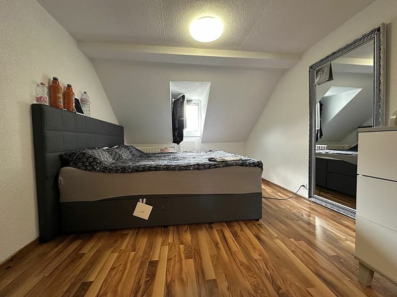 5.5 rooms - Row house with 1.5 room apartment (5)