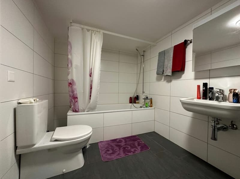 2.5 Zimmerwohnung (5)