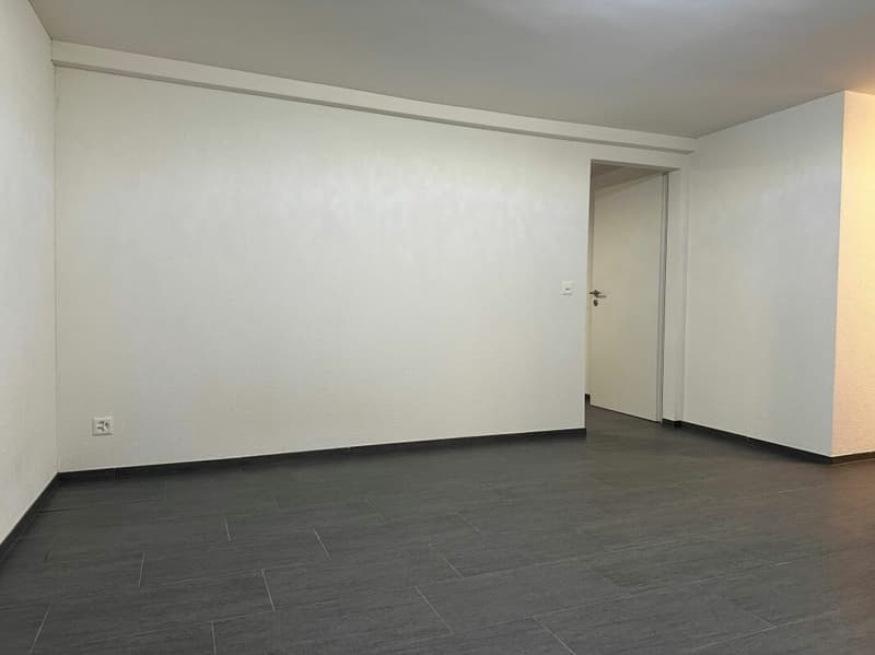 2.5 Zimmerwohnung (3)