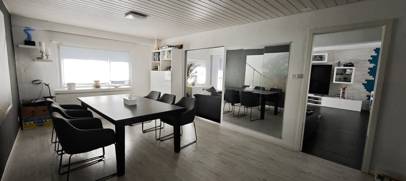 6 1/2 Zimmer Einfamilienhaus inkl. einer 3 1/2 Zimmer Einliegerwohnung (4)