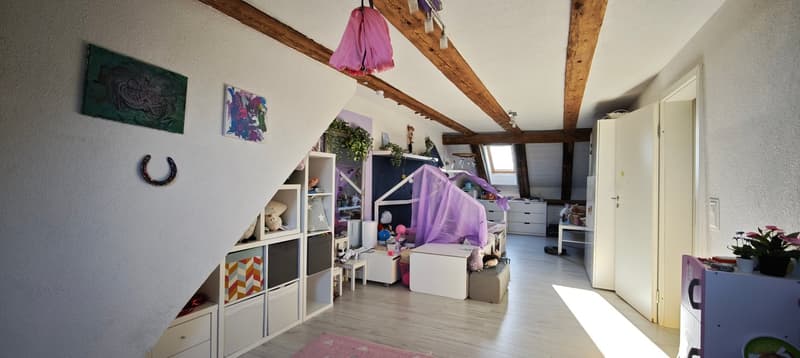6 1/2 Zimmer Einfamilienhaus inkl. einer 3 1/2 Zimmer Einliegerwohnung (17)
