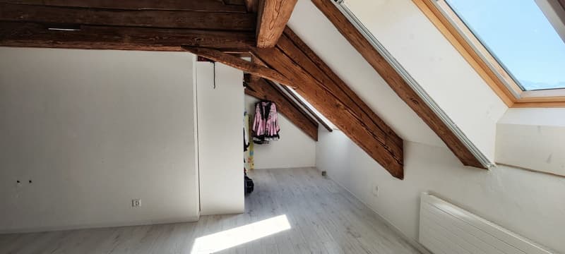 6 1/2 Zimmer Einfamilienhaus inkl. einer 3 1/2 Zimmer Einliegerwohnung (13)