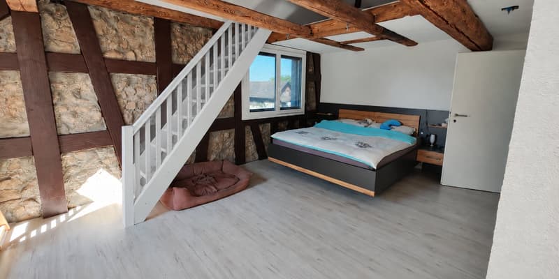 6 1/2 Zimmer Einfamilienhaus inkl. einer 3 1/2 Zimmer Einliegerwohnung (12)