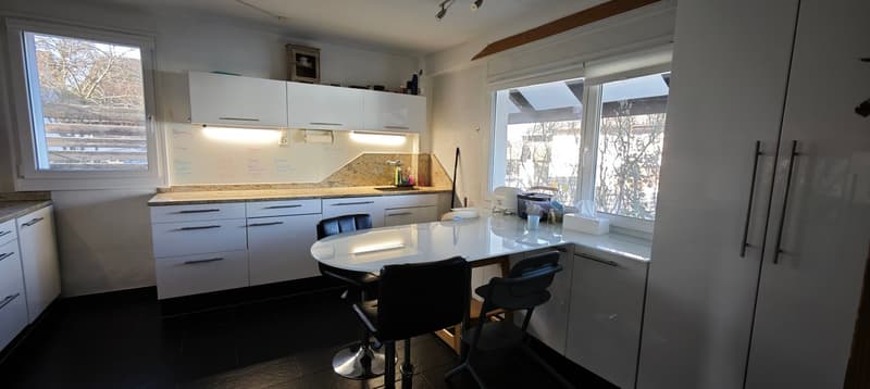 6 1/2 Zimmer Einfamilienhaus inkl. einer 3 1/2 Zimmer Einliegerwohnung (5)