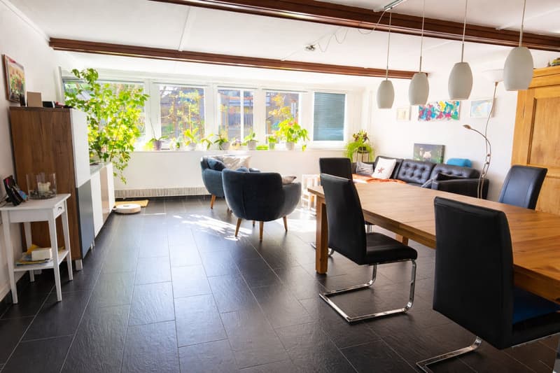 6 1/2 Zimmer Einfamilienhaus inkl. einer 3 1/2 Zimmer Einliegerwohnung (22)