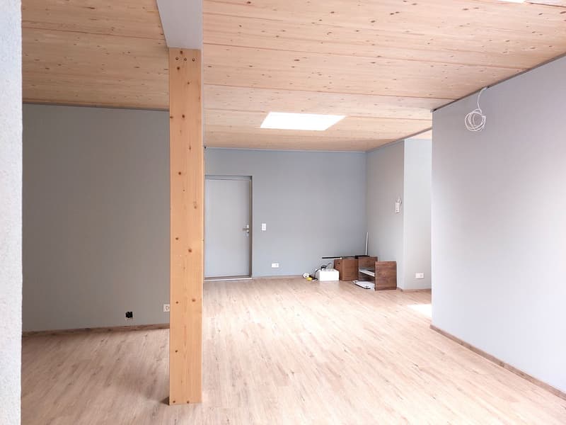 Haut lieu architectural : 5,5 pièces de bureau/pratique avec beaucoup de lumière & de style (8)