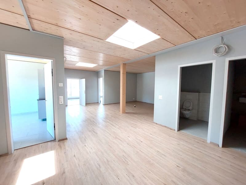 Architectural Highlight: 5.5-Room Office/Practice Space with Plenty of Light & Style (6)