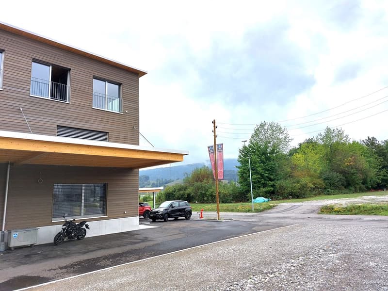 Architectural Highlight: 5.5-Room Office/Practice Space with Plenty of Light & Style (2)