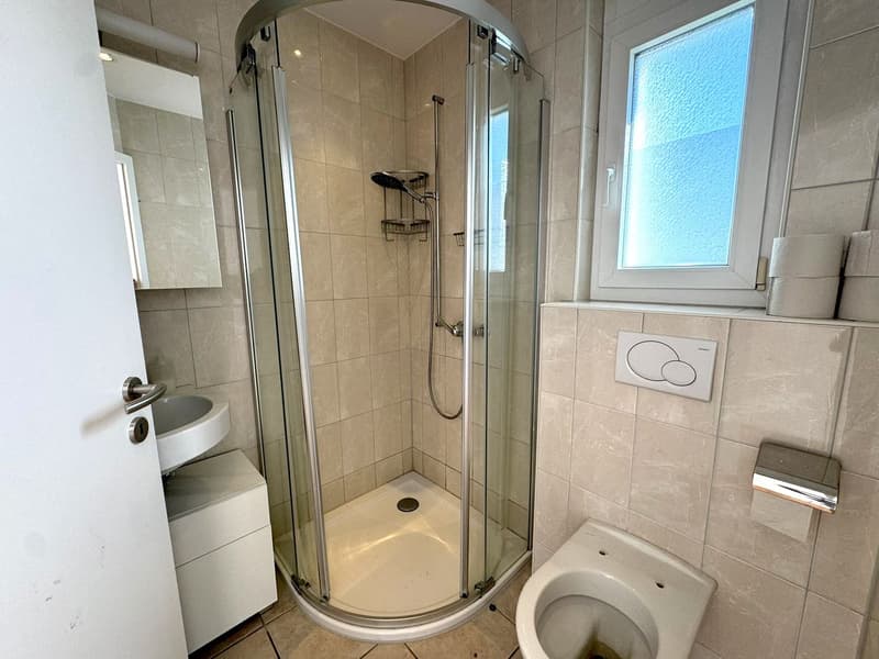 ELEGANZ TRIFFT WOHNKOMFORT - EXKLUSIVES HAUS MIT PRIVATGARTEN (8)