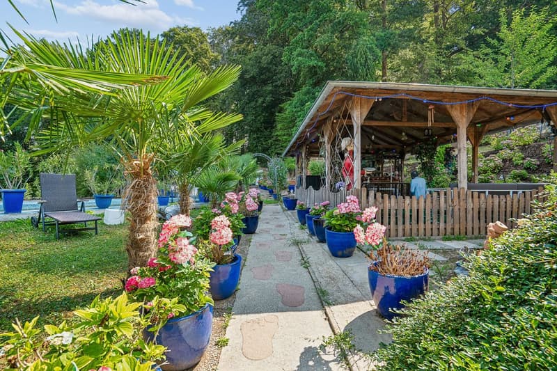 Pergola