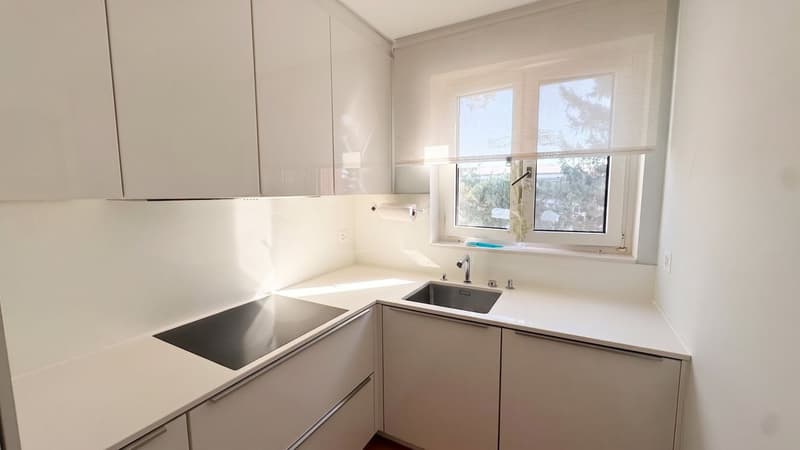 RENOVIERT & VOLL VERMIETET (5)
