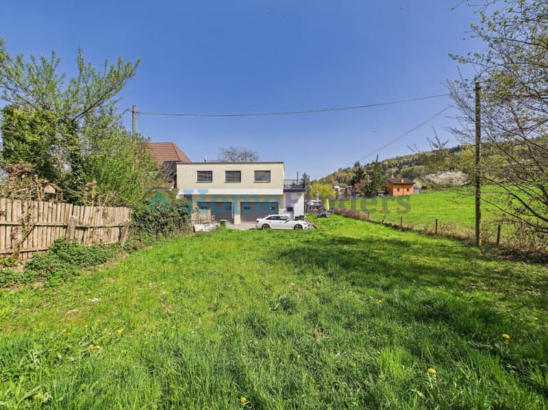 Habitation moderne dans un environnement vert (3)