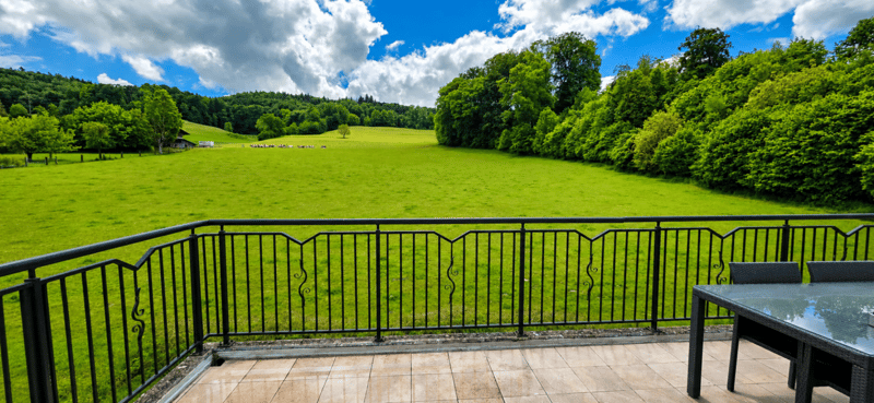 Habitation moderne dans un environnement vert (2)