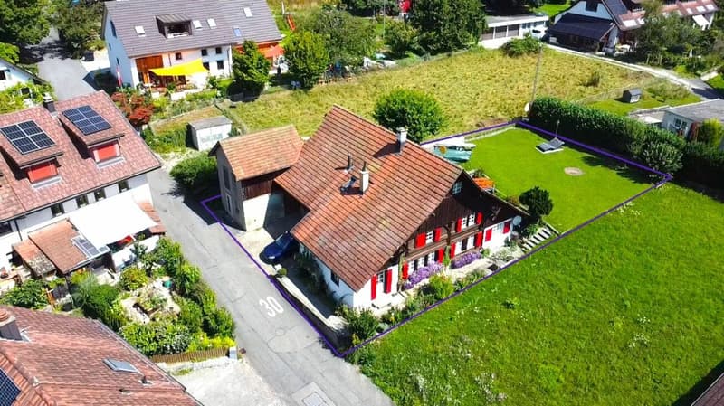 HISTORISCH - IM DORFKERN IN DER NÄHE ZUM HALLWILERSEE! Kopie (1)