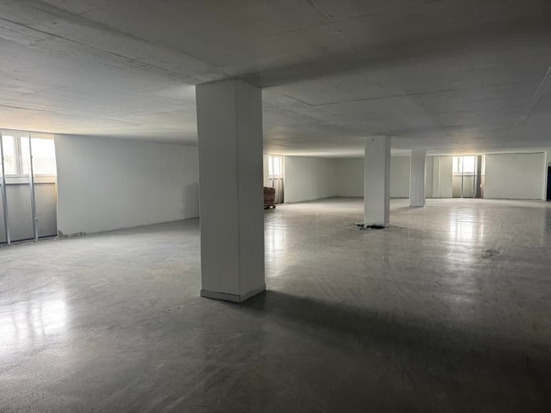 Spazi commerciali e di stoccaggio attraenti a Volketswil – Posizione top vicino all'A53 (4)
