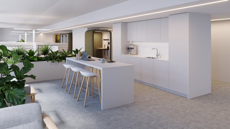 Office space with new premium construction - last free space (2)
