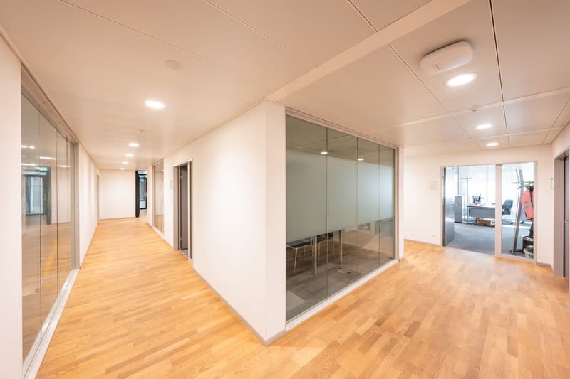 Flexible Büroflächen zum Bestpreis – bis zu 2'800 m² ab sofort verfügbar (5)