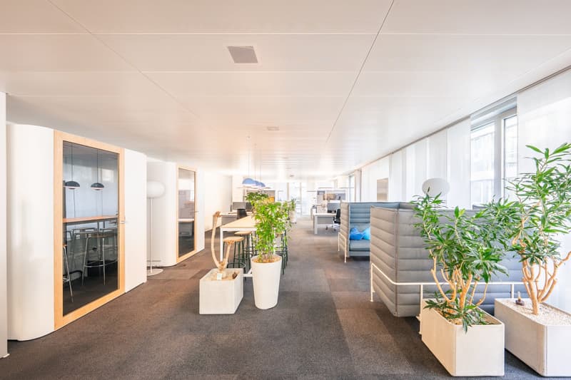 Flexible Büroflächen zum Bestpreis – ab 400m² sofort verfügbar (4)