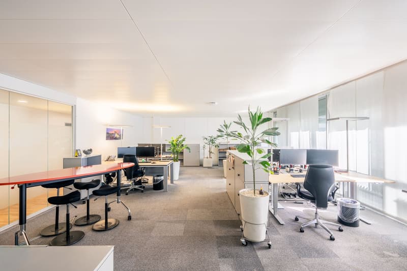 Flexible Büroflächen zum Bestpreis – ab 400m² sofort verfügbar (6)