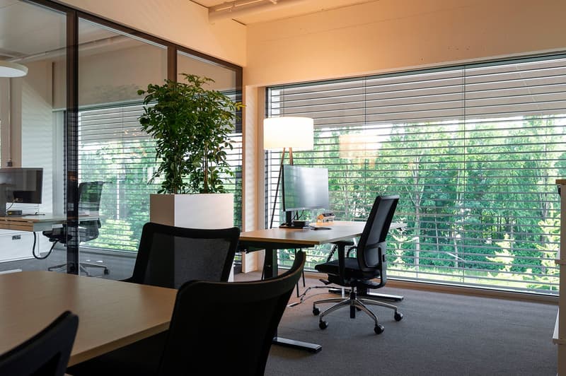 Bezugsbereite Bürofläche mit hochwertigem Mieterausbau und zwei Terrassen (1)