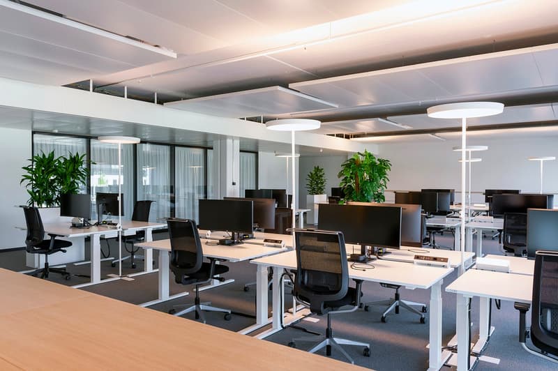 Bezugsbereite Bürofläche mit hochwertigem Mieterausbau und zwei Terrassen (1)