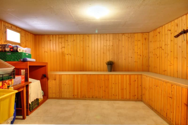 Village house in Sensine with rental apartment! (11)