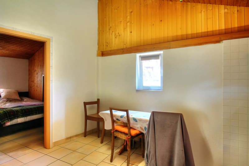 Village house in Sensine with rental apartment! (13)