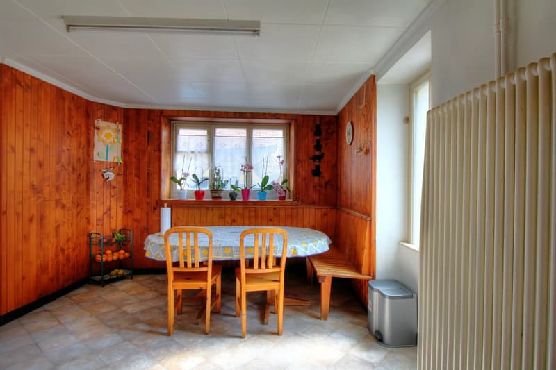 Village house in Sensine with rental apartment! (5)