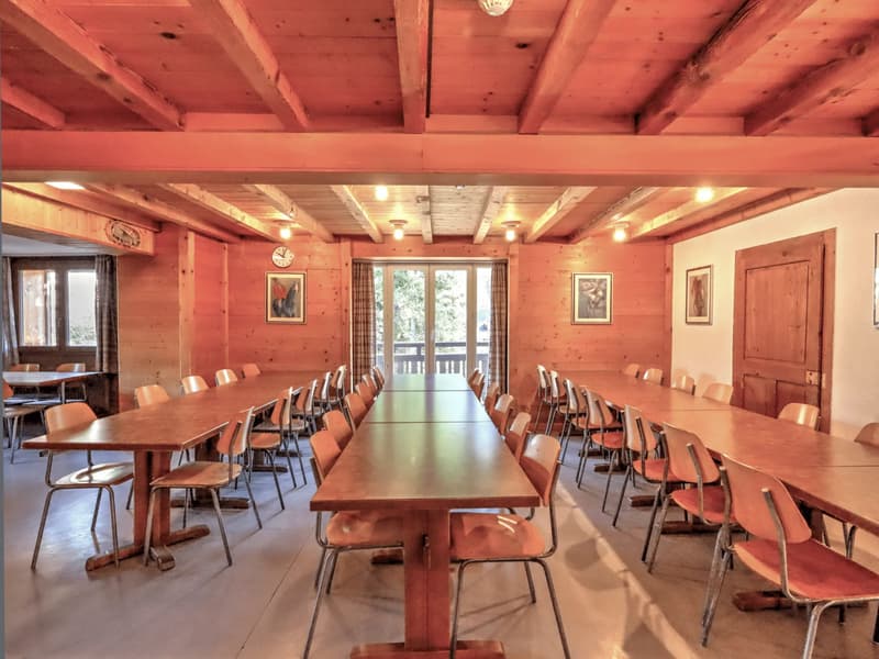 Holiday Chalet for Groups - High Yield (3)