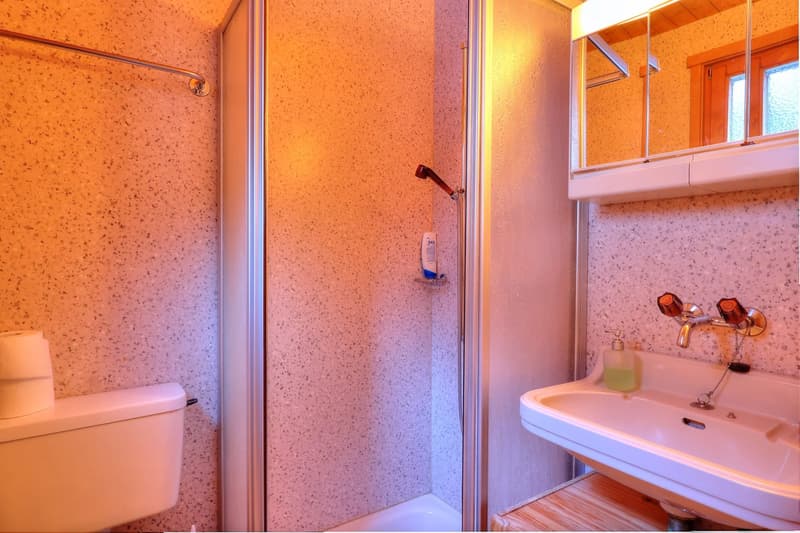 Prassurny | Monolocale con garage nel cuore del villaggio (5)
