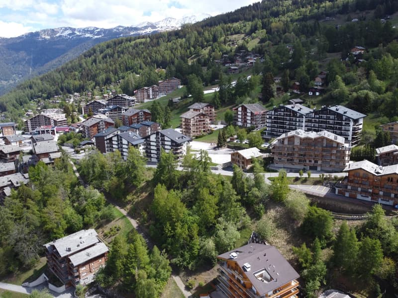 Studio with balcony and open view in Haute-Nendaz (10)