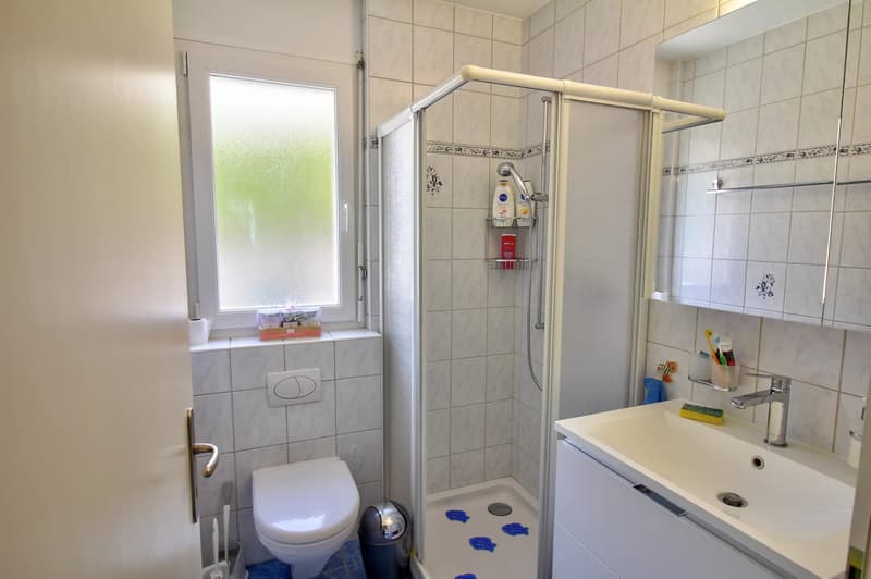 Sierre I Exceptional 6.5-room villa (12)