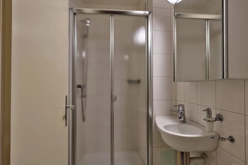 Sierre | Einladende Räumlichkeiten für diese 4,5-Zimmer-Wohnung zur Renovierung (8)