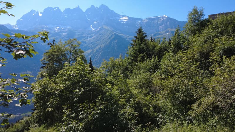 Val-d'Illiez | Charmant chalet avec vue dégagée sur les Dents-du-Midi (12)