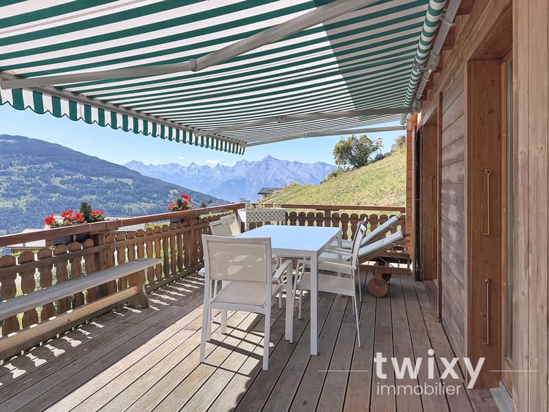 Charmant chalet de 4.5 pièces avec spa (2)