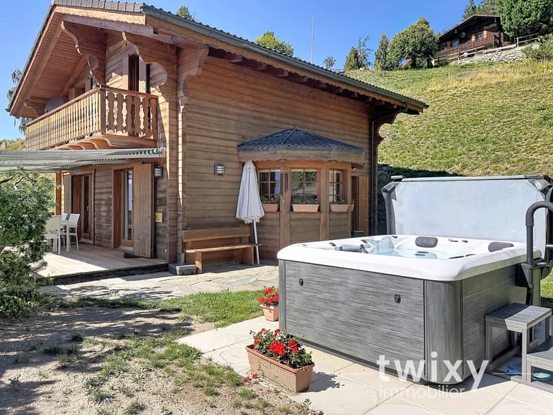 Charmant chalet de 4.5 pièces avec spa (1)