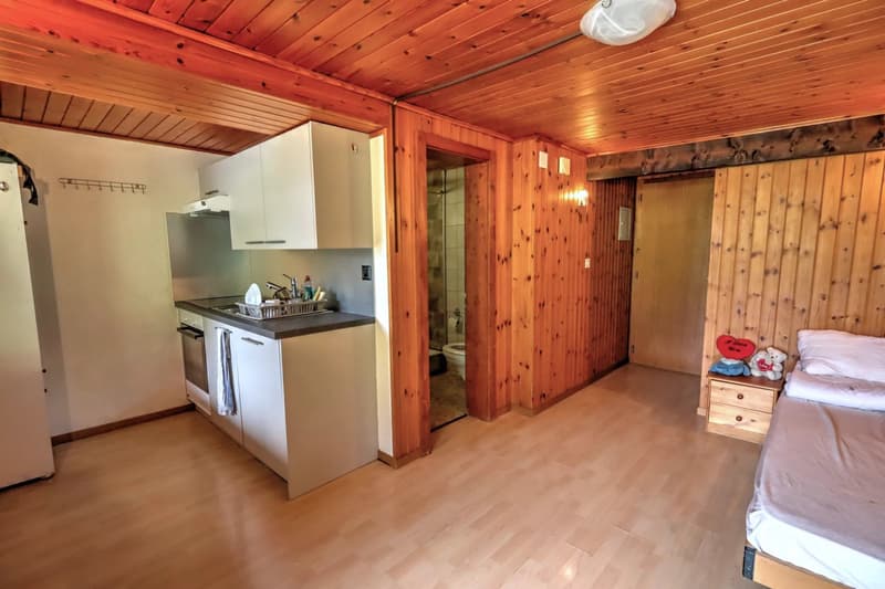 Immeuble mixte à Troistorrents - 12 logements et 1 commerce (6)