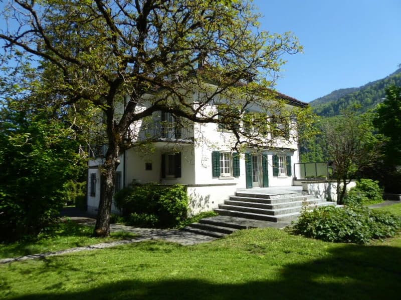 Majestic 9-room villa with park (4)