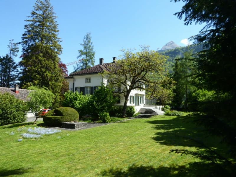 Majestic 9-room villa with park (2)