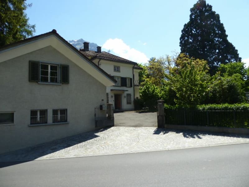 Majestic 9-room villa with park (5)