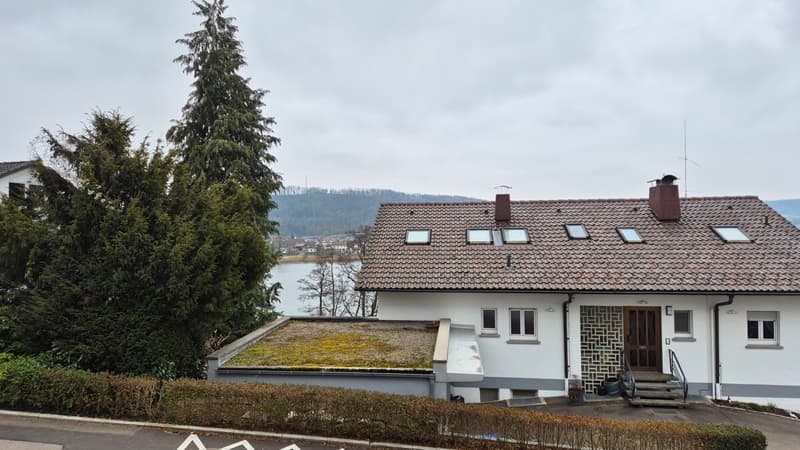 Rheinsicht