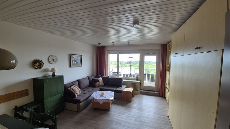 1 Zimmerappartement